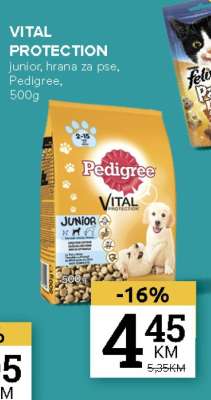 VITAL PROTECTION
