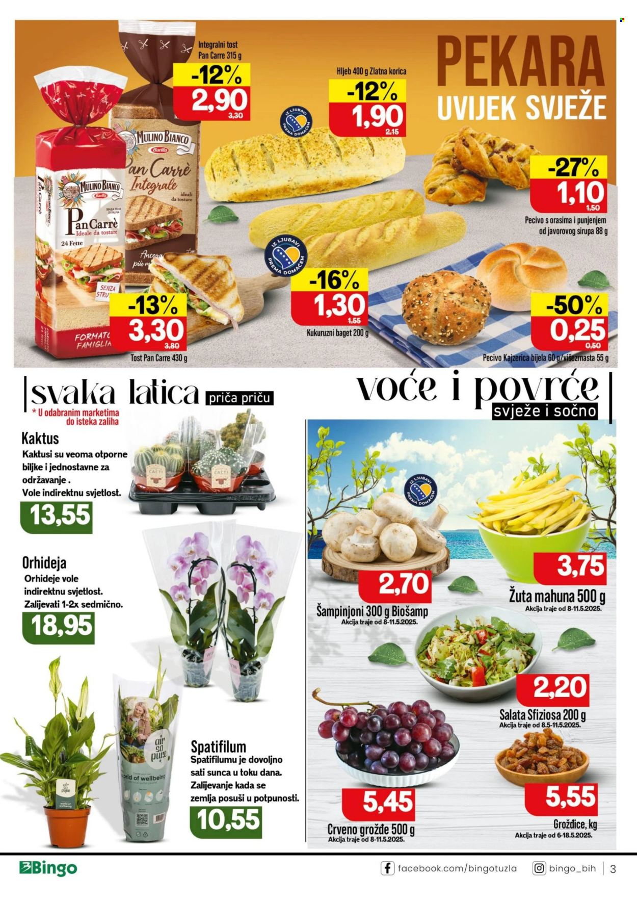Bingo katalog - 06.05.2025. - 18.05.2025.. Stranica 1