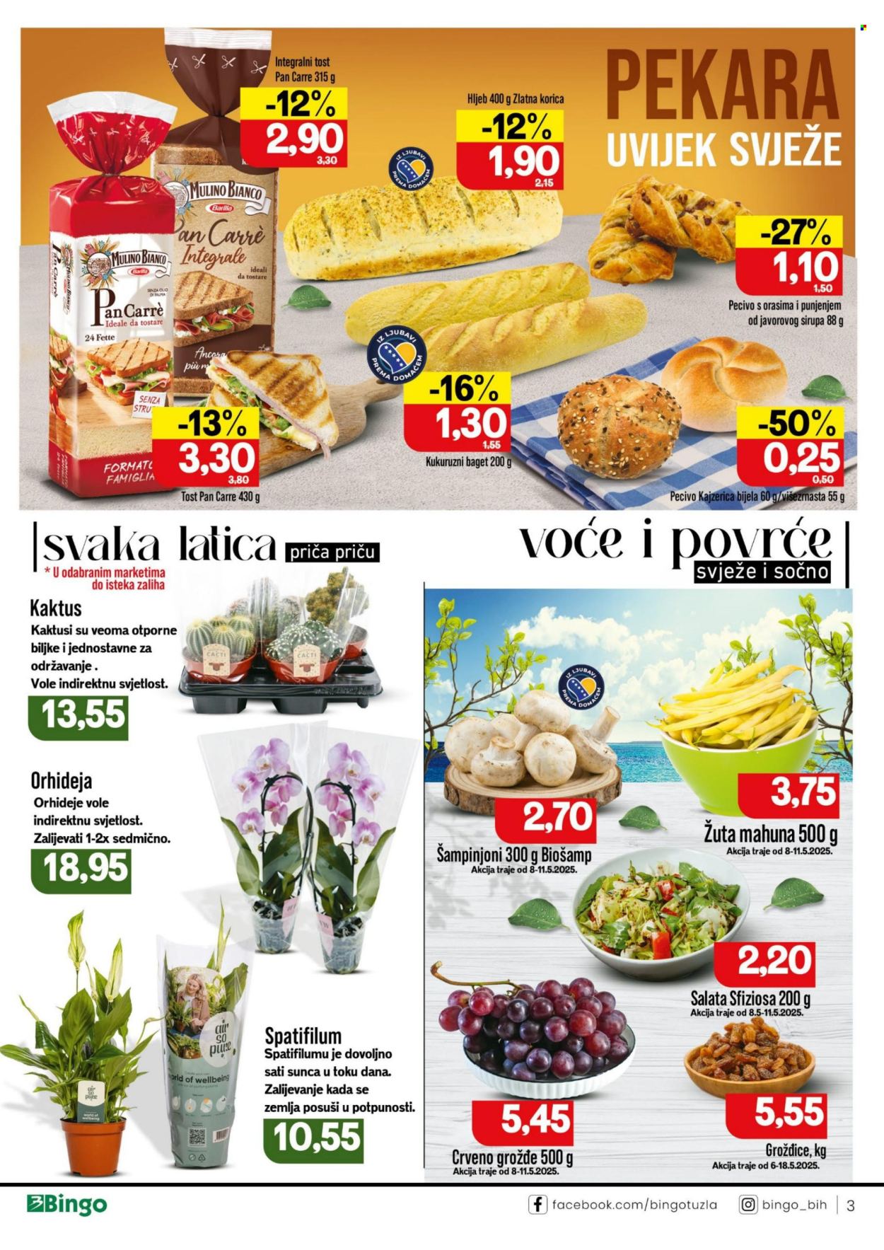 Bingo katalog - 06.05.2025. - 18.05.2025.. Stranica 1