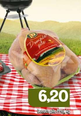 Domaće pile PPtuj