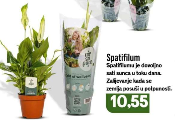 SPATIFILUM