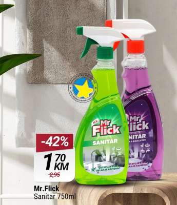 Mr.Flick