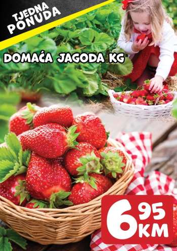 thumbnail - Prodex katalog