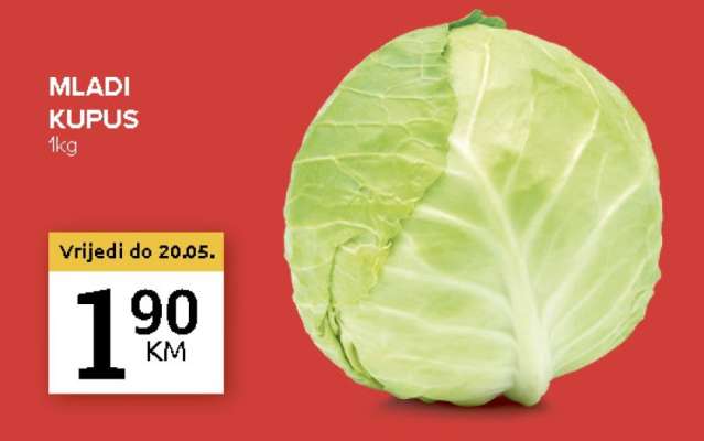 Mladi kupus