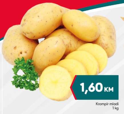 Krompir mladi