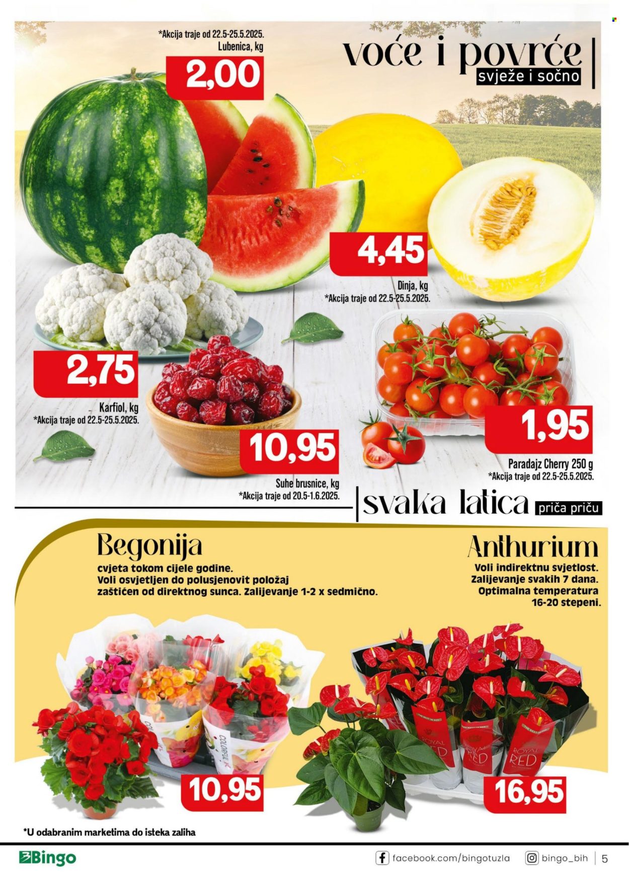 Bingo katalog - 20.05.2025. - 01.06.2025.. Stranica 1