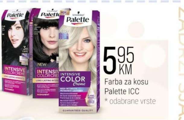 PALETTE ICC
