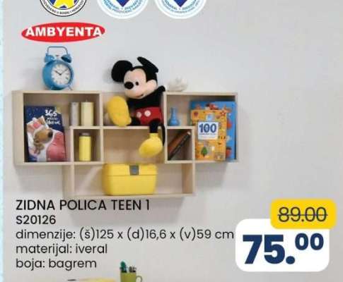 ZIDNA POLICA TEEN 1