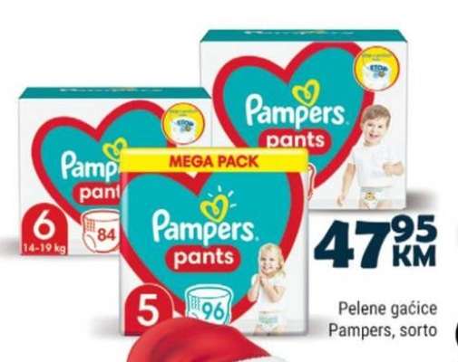 PAMPERS PANTS