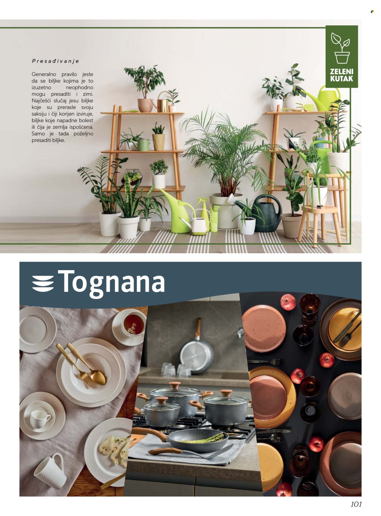Tropic katalog - 01.12.2025. - 28.02.2026.. Stranica 101
