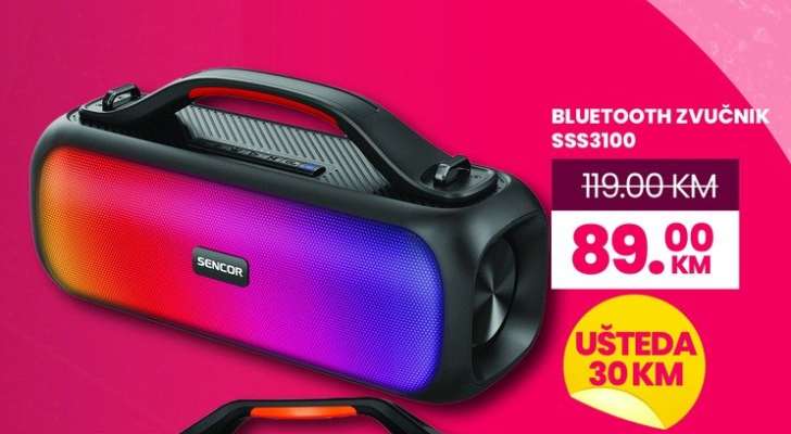 BLUETOOTH ZVUČNIK SSS3100