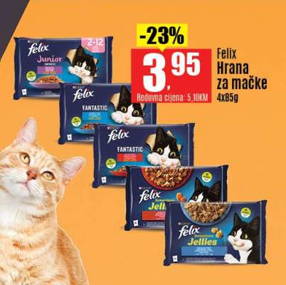 Felix Hrana za mačke