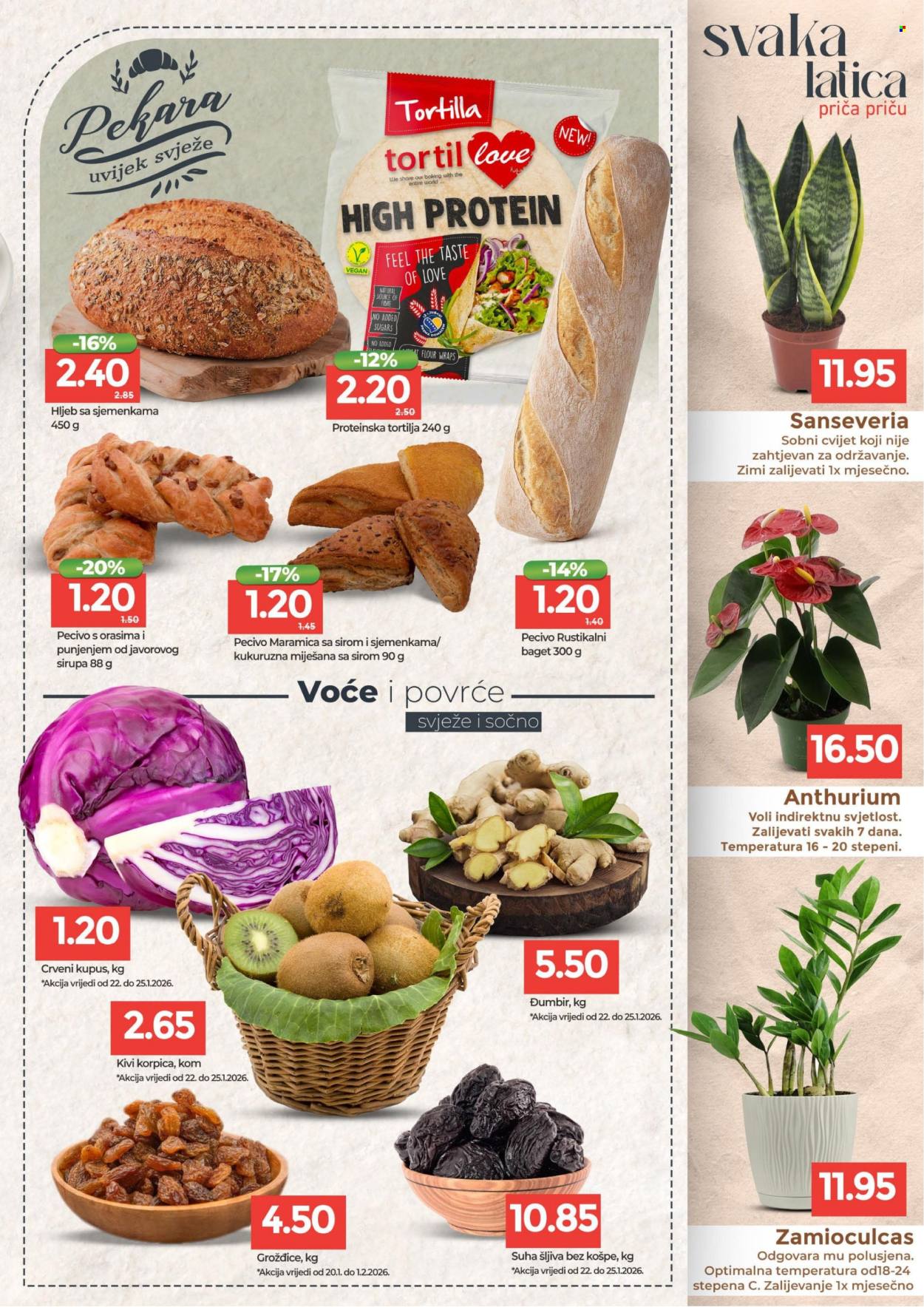 Bingo katalog - 20.01.2026. - 01.02.2026.. Stranica 3