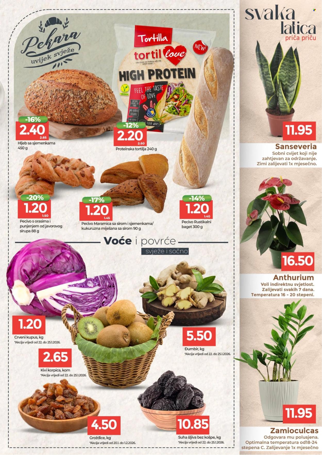 Bingo katalog - 20.01.2026. - 01.02.2026.. Stranica 3