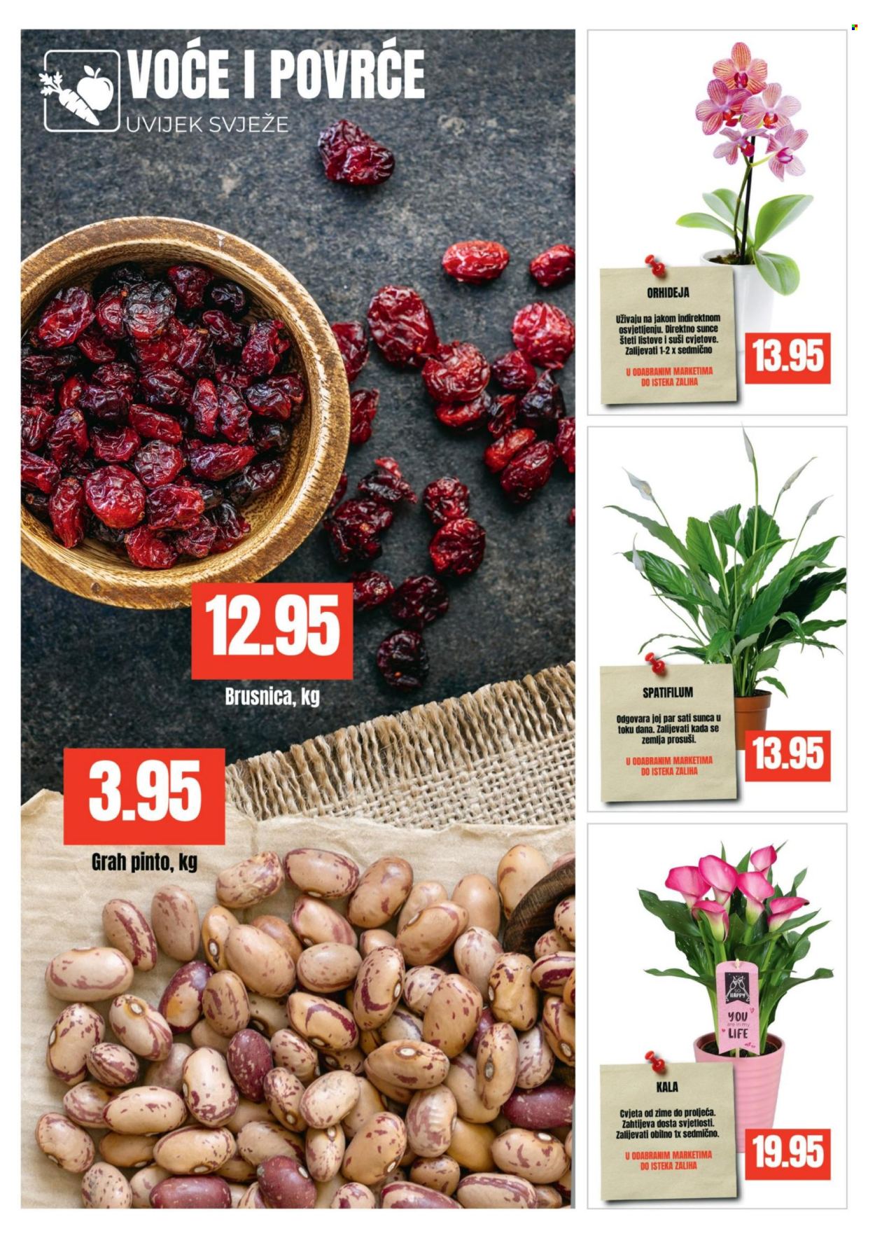 Bingo katalog - 03.02.2026. - 15.02.2026.. Stranica 2