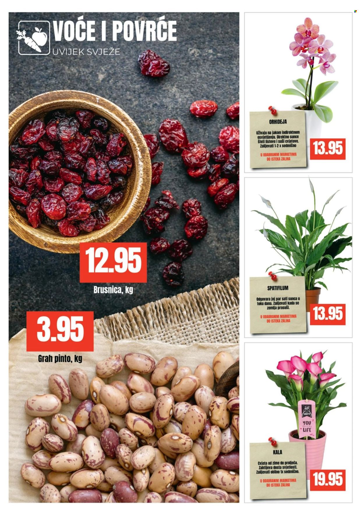 Bingo katalog - 03.02.2026. - 15.02.2026.. Stranica 3