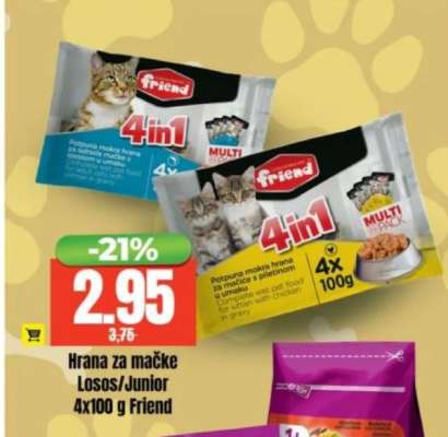 Hrana za mačke Losos/Junior 4x100 g Friend