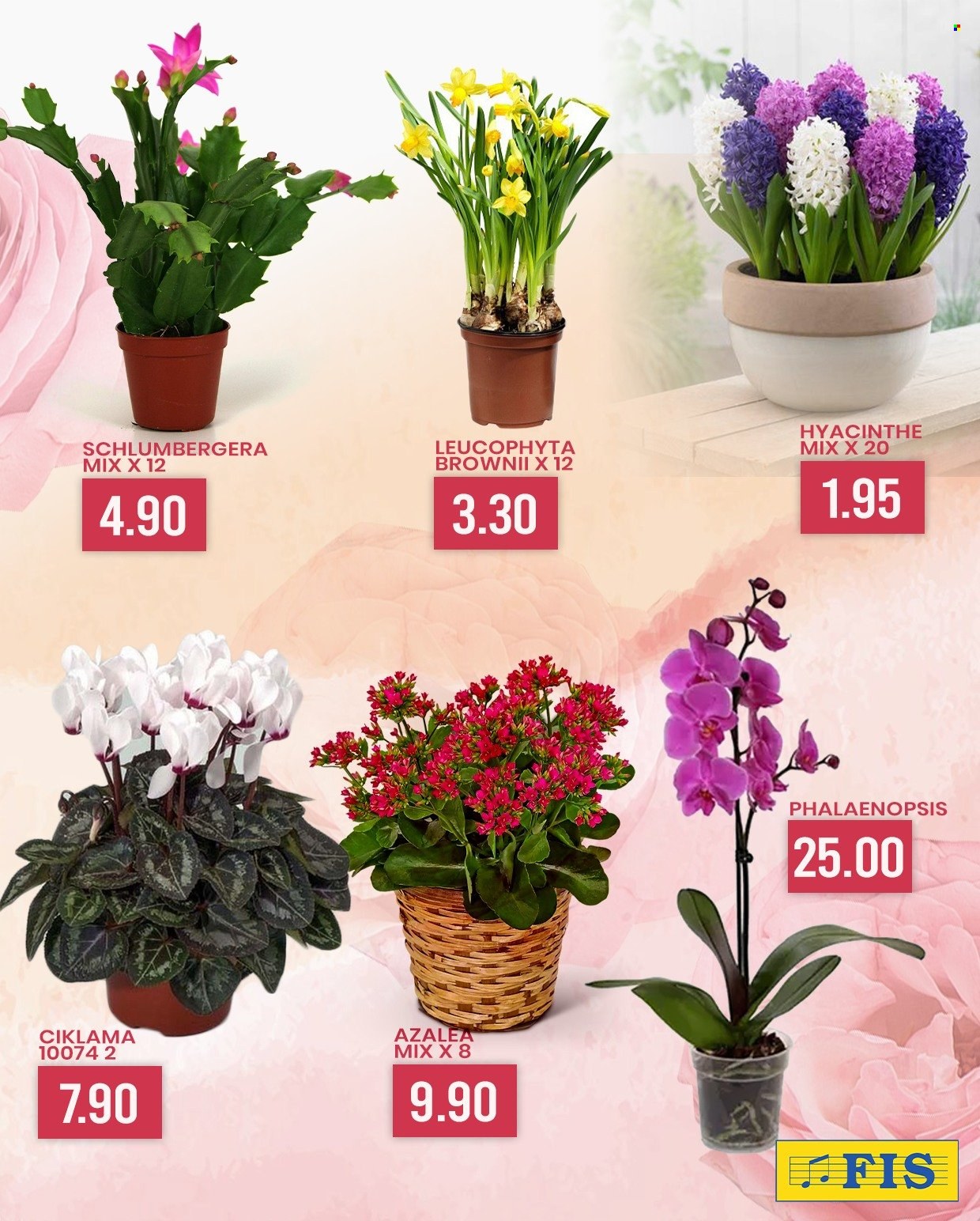 FIS katalog - 02.03.2026. - 08.03.2026.. Stranica 5