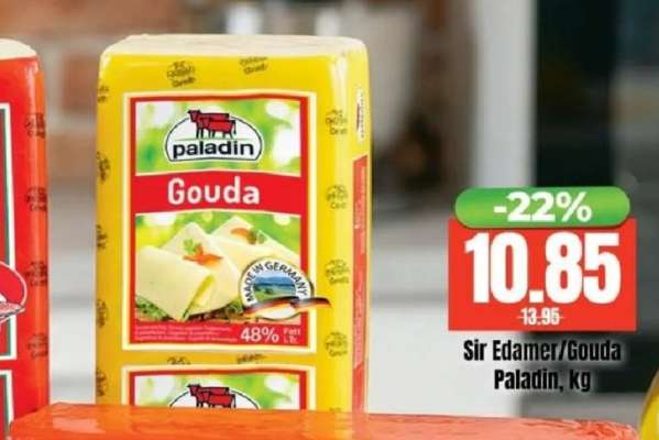 SIR EDAMER, GOUDA Paladin