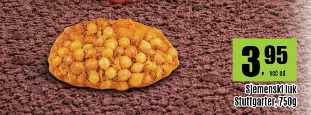 Sjemenski luk Stuttgarter