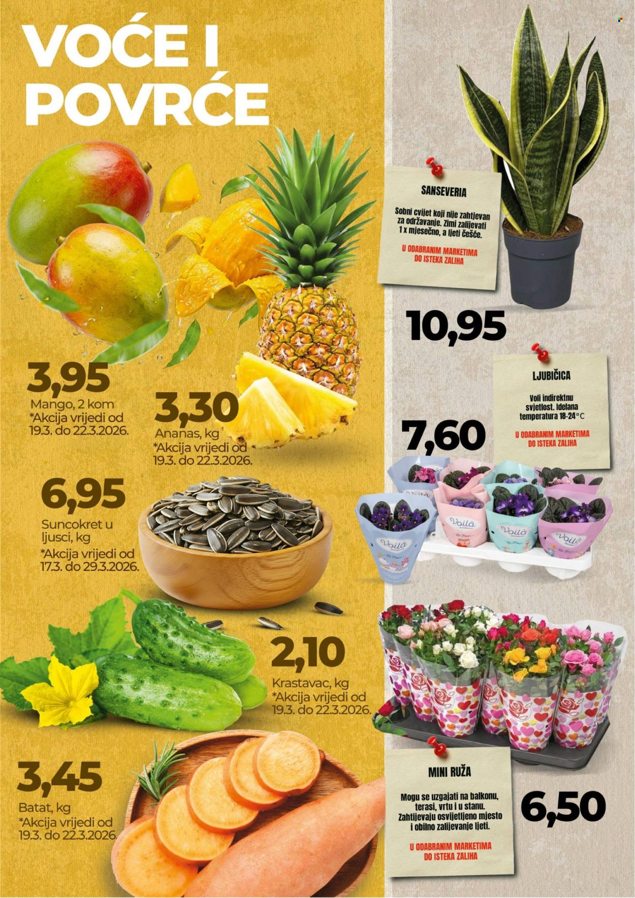 Bingo katalog - 17.03.2026. - 29.03.2026.. Stranica 3