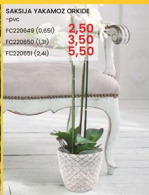 SAKSIJA YAKAMOZ ORKIDE