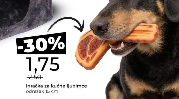 Igračka za kućne ljubimce