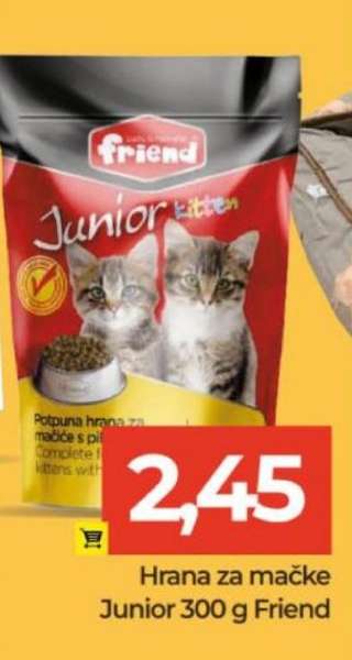Hrana za mačke Junior 300 g Friend