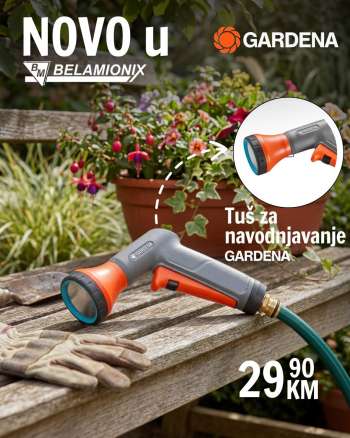 Belamionix katalog