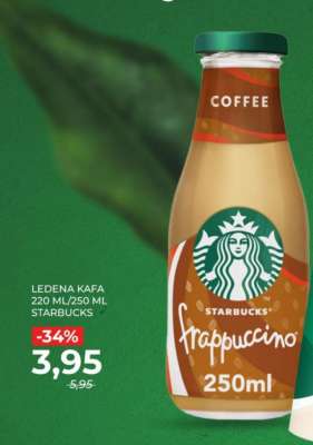LEDENA KAFA 220 ML/250 ML STARBUCKS