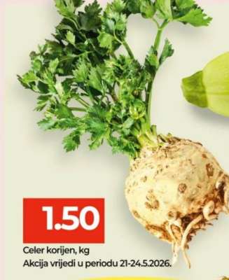 Celer korijen, kg