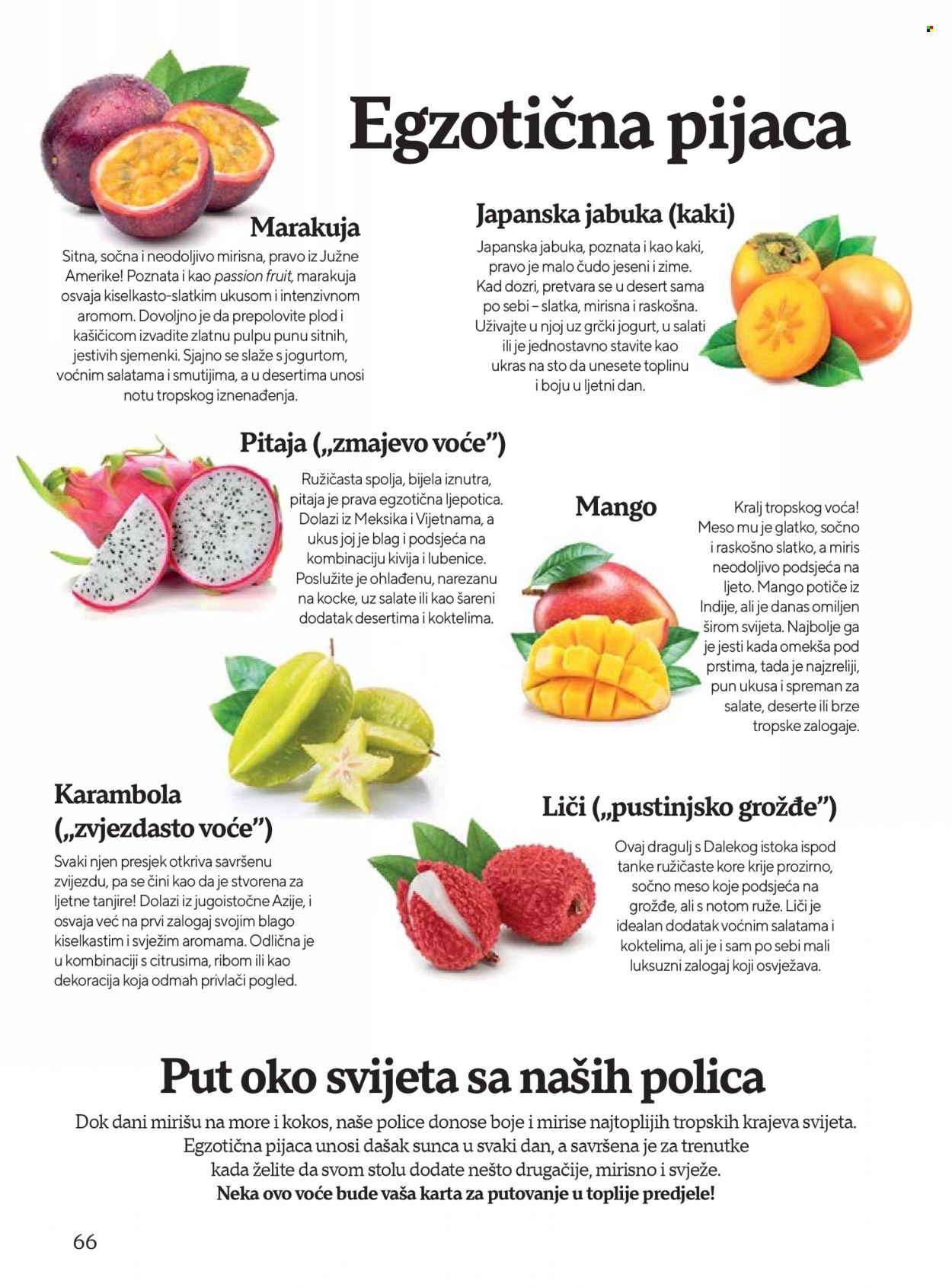 Tropic katalog - 01.06.2026. - 31.08.2026.. Stranica 66