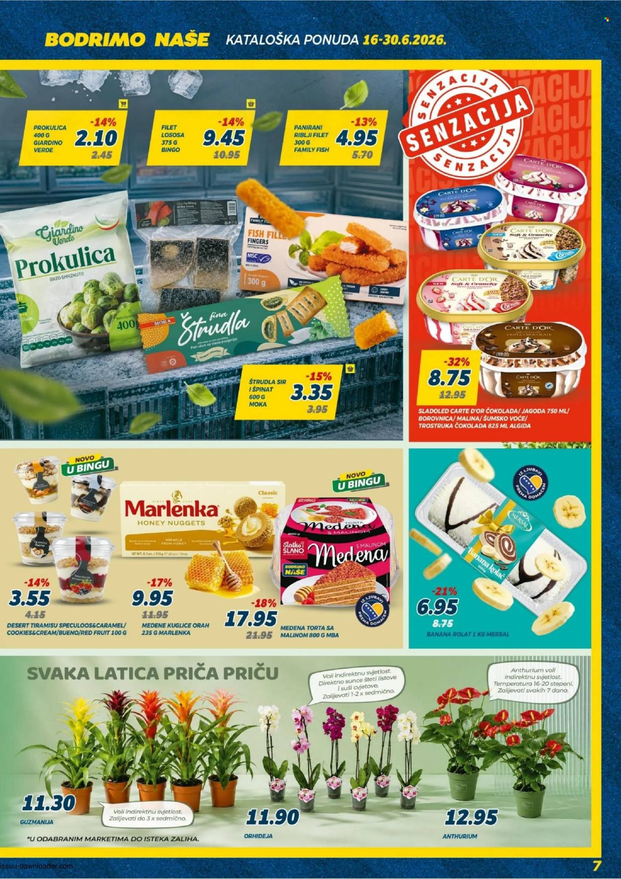 Bingo katalog - 16.06.2026. - 30.06.2026.. Stranica 7