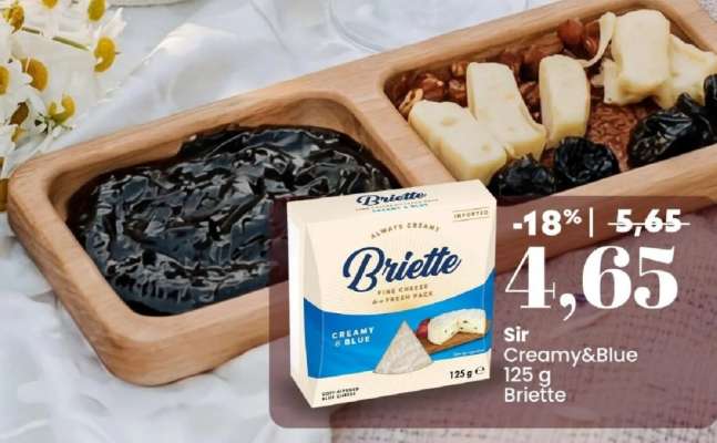 Sir Creamy&Blue Briette