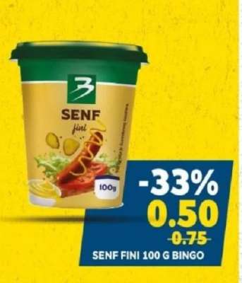 SENF FINI 100 G BINGO