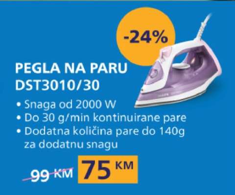 Pegla na paru DST3010/30