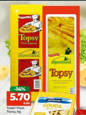 Toast/Pizza Topsy
