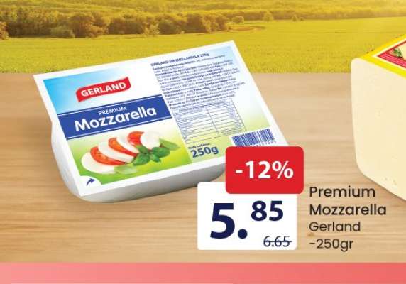 Premium Mozzarella Gerland