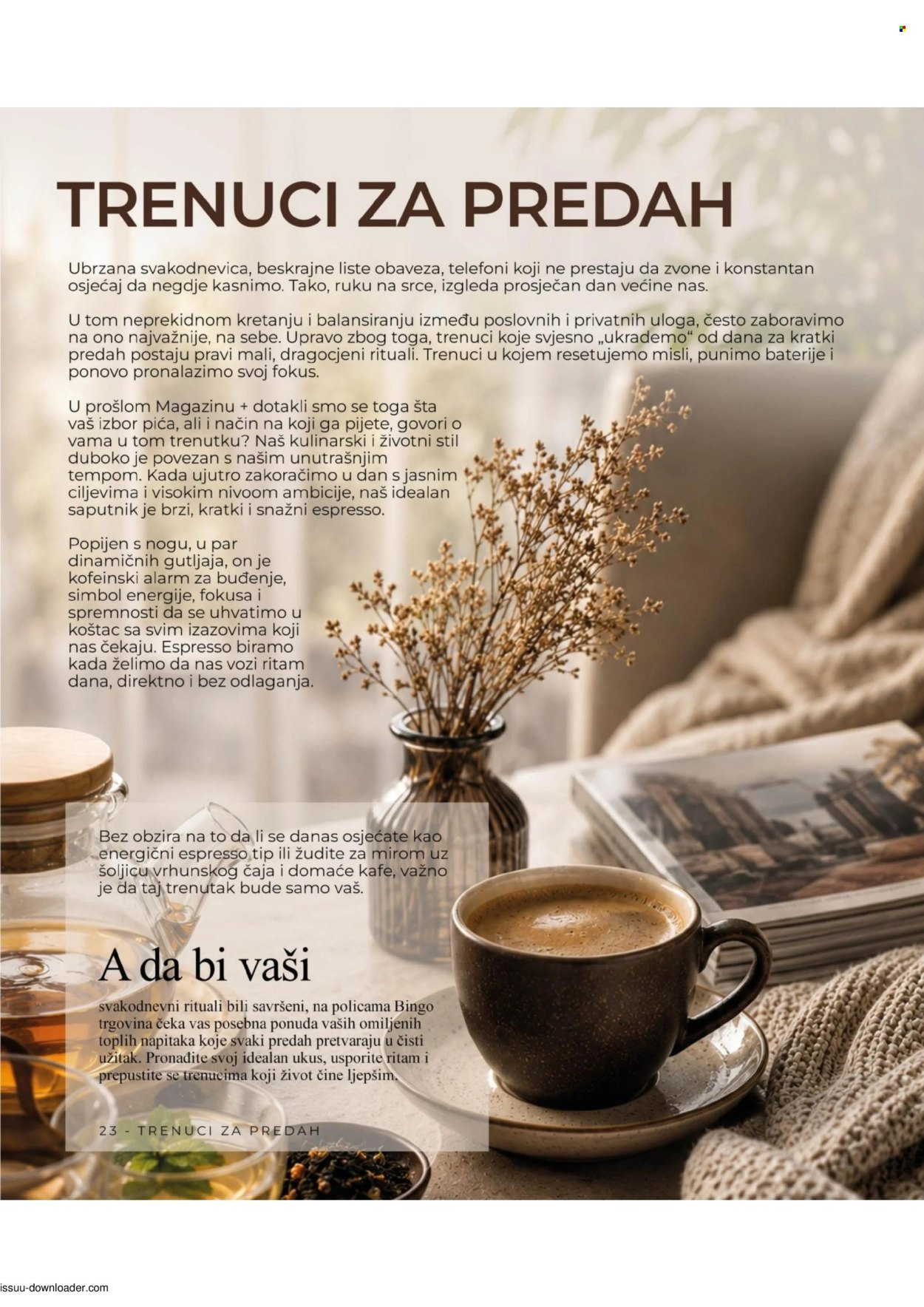 Bingo katalog - 11.08.2026. - 01.09.2026.. Stranica 25