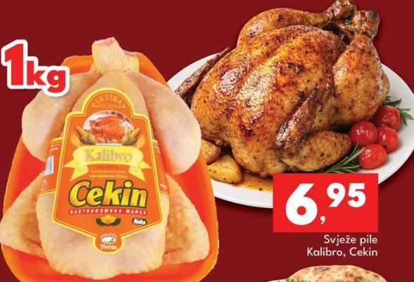 Svježe pile Kalibro, Cekin