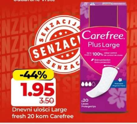 Carefree Plus Large
