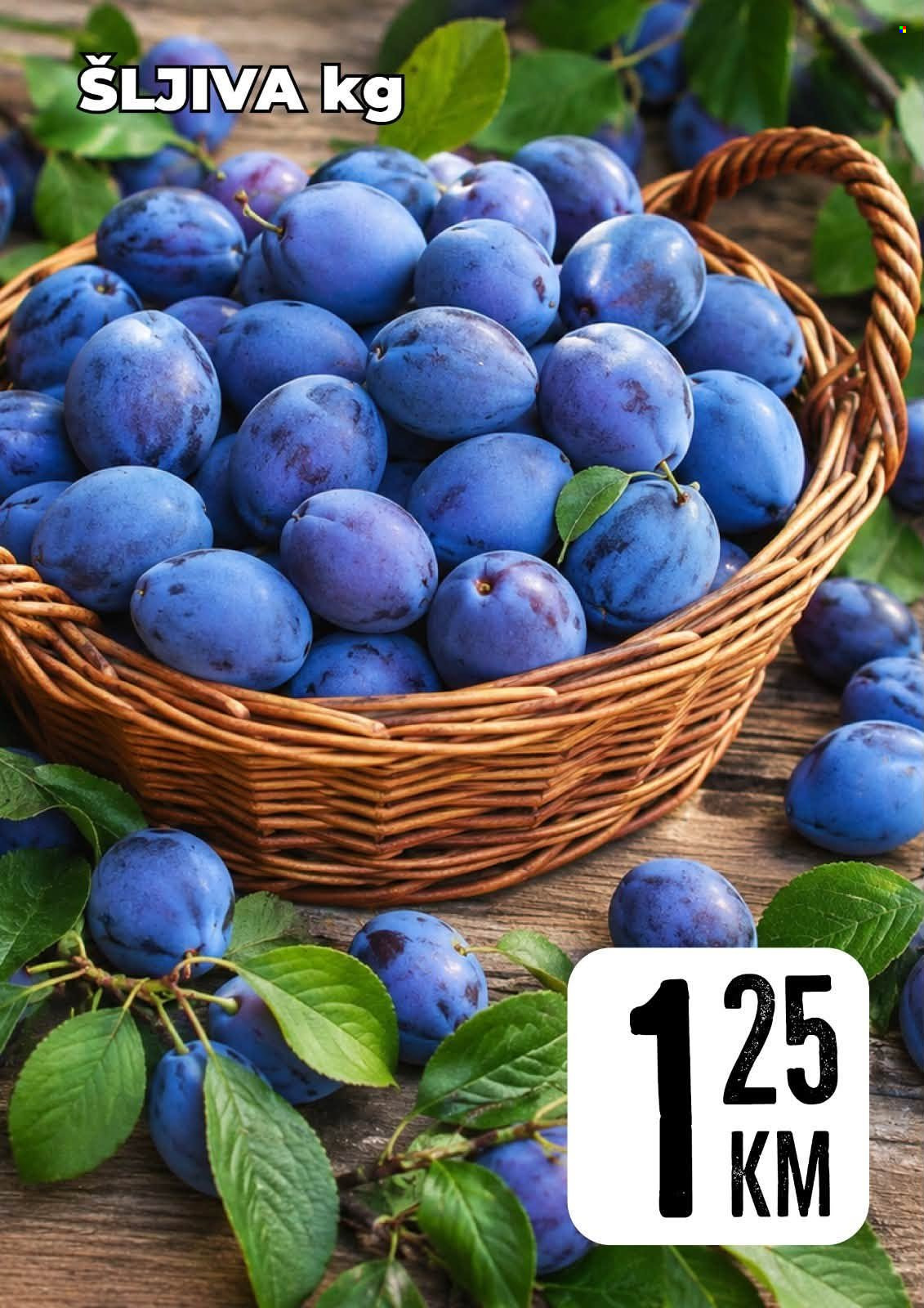 Prodex katalog - 04.09.2026. - 05.09.2026.. Stranica 5