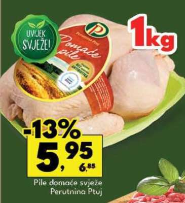 Pile domaće svježe Perutnina Ptuj