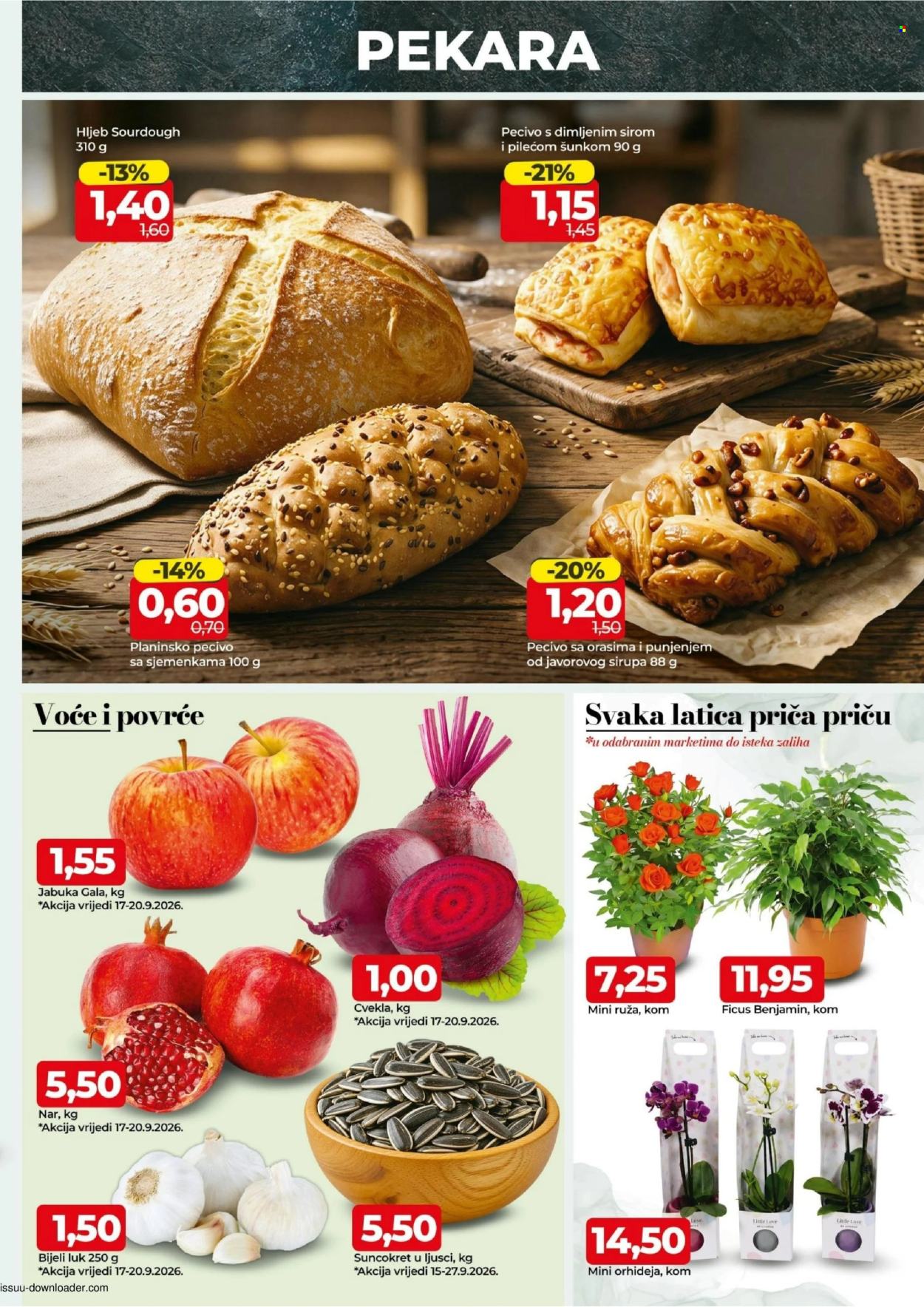 Bingo katalog - 15.09.2026. - 27.09.2026.. Stranica 3