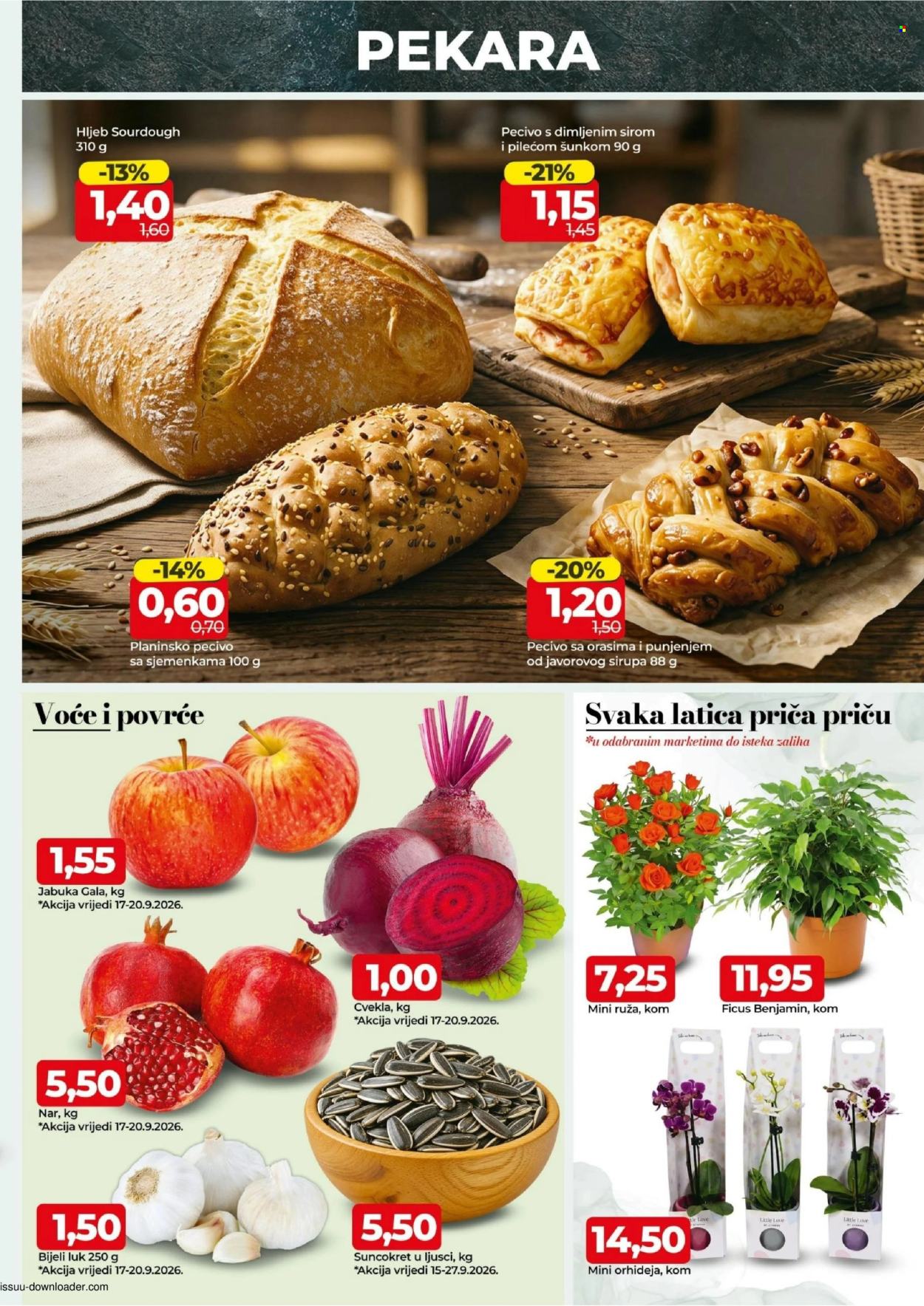 Bingo katalog - 15.09.2026. - 27.09.2026.. Stranica 3