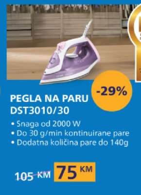 Pegla na paru DST3010/30