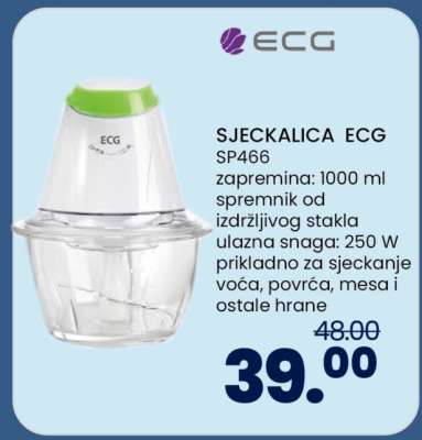 SJECKALICA ECG